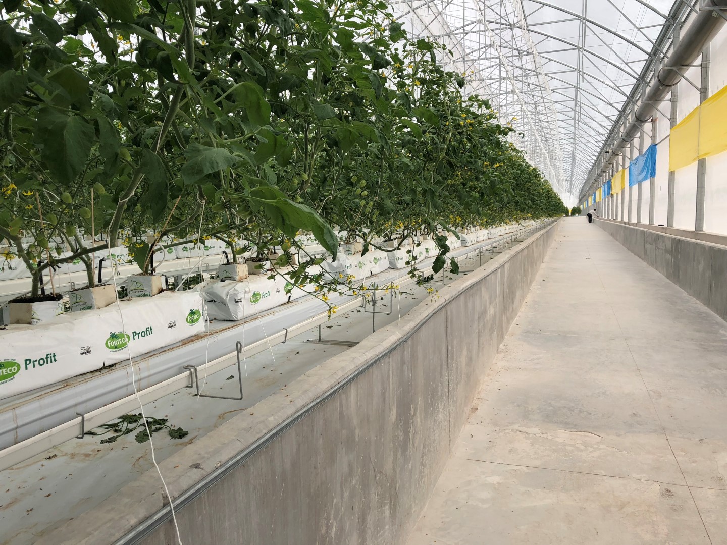 High-Tech Farms