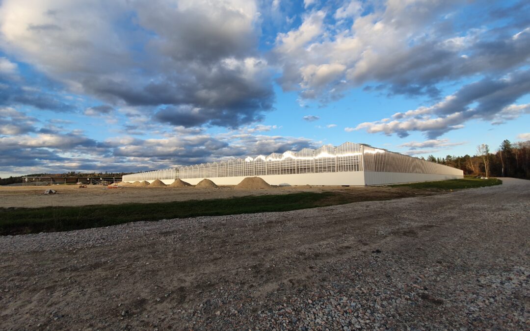 North Country Growers ( under construction)